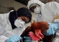México registra la primera muerte humana por gripe aviar A H5N2 en el mundo, según la OMS