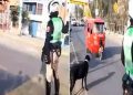 Policía detiene tráfico para que perrito cruce la pista y usuarios reaccionan