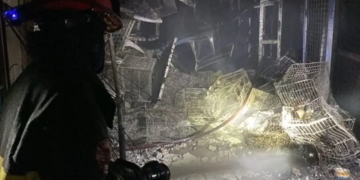 Cientos de animales mueren tras incendio en mercado callejero de mascotas