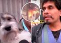 Veterinario arriesga su vida y rescata a mascotas atrapadas en incendio: «Un verdadero héroe»