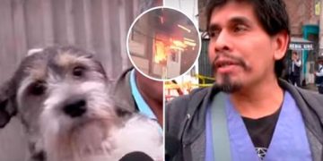 Veterinario arriesga su vida y rescata a mascotas atrapadas en incendio: «Un verdadero héroe»