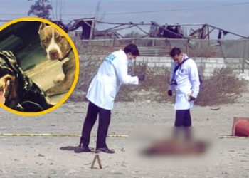 Hombre muere luego de ser atacado por cuatro perros