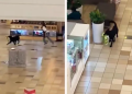 Perrito se roba peluche de tienda y hace correr a vendedora por todo el centro comercial