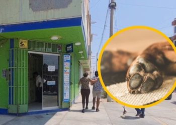 Policía mata de un balazo a perro solo porque lo olfateó
