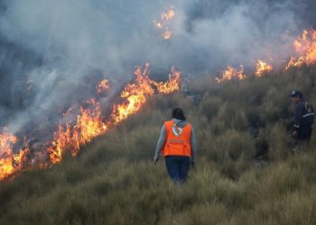 INCENDIOS FORESTALES EN PERÚ