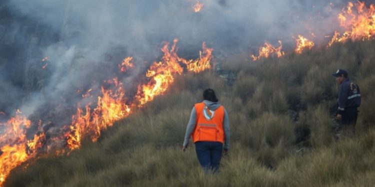 INCENDIOS FORESTALES EN PERÚ