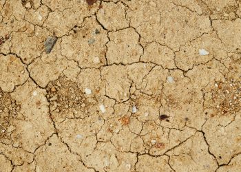 3 DE SEPTIEMBRE: SE REGISTRA TEMBLOR EN ICA