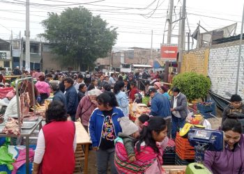 CAOS EN URB. LOS VIÑEDOS