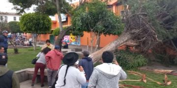 Vientos huracanados tumban árbol y casi mata a vendedores ambulantes en Ayacucho