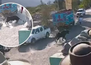 Abuelita de 80 años perdió la vida tras ser embestida por toro durante fiesta patronal en Arequipa