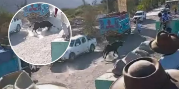 Abuelita de 80 años perdió la vida tras ser embestida por toro durante fiesta patronal en Arequipa
