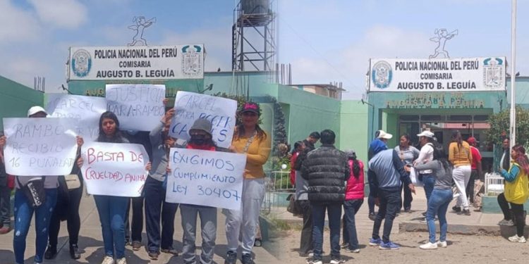 Tacna: vecino da muerte a perro a puñaladas y animalistas piden que sea condenado por maltrato animal