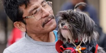 Presentan proyecto de ley para otorgar licencia a trabajadores por fallecimiento de mascotas
