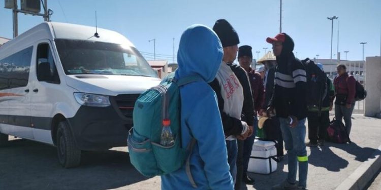Extranjeros podrían ser expulsados de Chile por hacer ruidos molestos o trabajar en el comercio ambulante