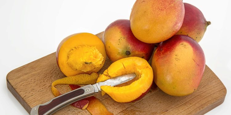 SOBREPRODUCCIÓN DE MANGO GENERA GRAVE CRISIS ECONÓMICA PARA LOS AGRICULTORES DE LAMBAYEQUE Y PIURA