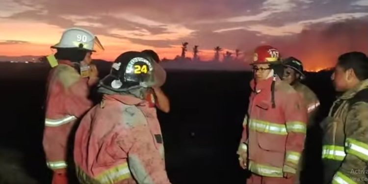 BOMBEROS SOFOCAN INCENDIO FORESTAL EN EL FUNDO SANTA INÉS