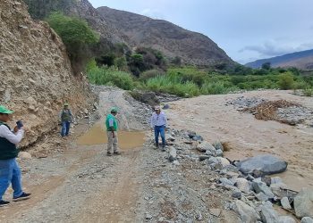 RECIENTES LLUVIAS AFECTAN CULTIVOS AGRÍCOLAS EN NASCA
