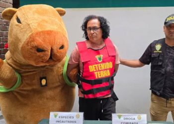 “Capibara terna” captura a presunto traficante de drogas