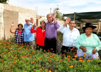 San Valentín: conoce a los usuarios de Pensión 65 que renovaron sus votos tras unir sus vidas por más de 5 décadas