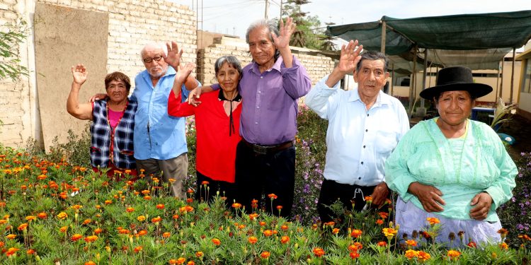 San Valentín: conoce a los usuarios de Pensión 65 que renovaron sus votos tras unir sus vidas por más de 5 décadas