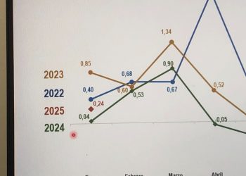 EL INDICE DE PRECIOS AL CONSUMIDOR SE INCREMENTÓ EN UN 0,24% EN LO QUE VA DE ENERO 2025
