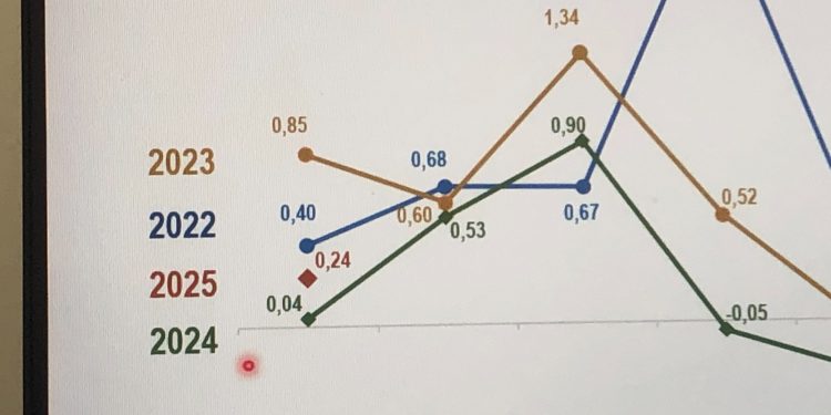EL INDICE DE PRECIOS AL CONSUMIDOR SE INCREMENTÓ EN UN 0,24% EN LO QUE VA DE ENERO 2025