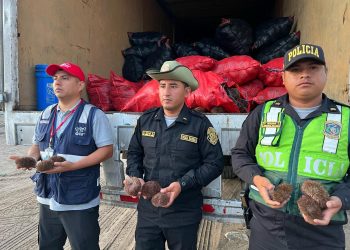 INTERVIENEN A DOS PERSONAS POR DELITO CONTRA RECURSOS NATURALES EN PARACAS