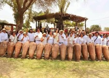 PRODUCTORES VITIVINÍCOLAS SE RETIRARÍAN DEL FIVI 2025