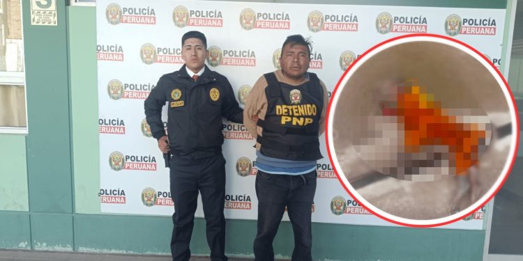 Detienen a sujeto que arrojó a perrito desde quinto piso en Juliaca