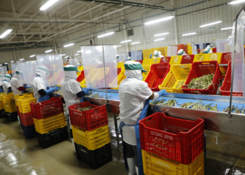 Exportaciones de mipymes crecen 21.4% y alcanzan los US$ 7,810 millones en 2024