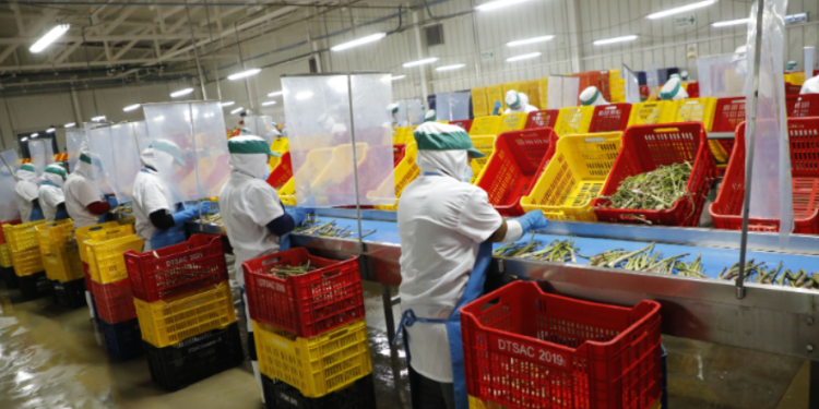 Exportaciones de mipymes crecen 21.4% y alcanzan los US$ 7,810 millones en 2024