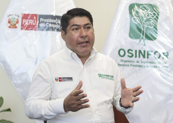 El Perú refuerza su lucha contra la tala ilegal: más de 700 mil hectáreas serán supervisadas en 2025