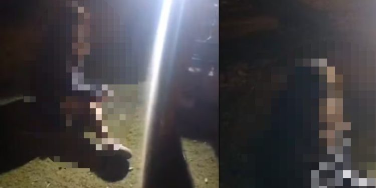 Menor de 14 años fue víctima de tocamientos indebidos y robo en Ica