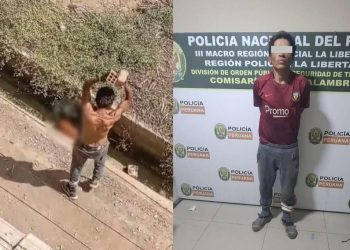 Hombre mató a ladrillazos a un perro en Trujillo