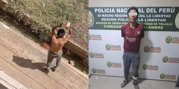 Hombre mató a ladrillazos a un perro en Trujillo