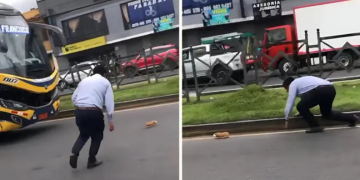 Chofer de bus desata risas al intentar atrapar un cuy en plena pista