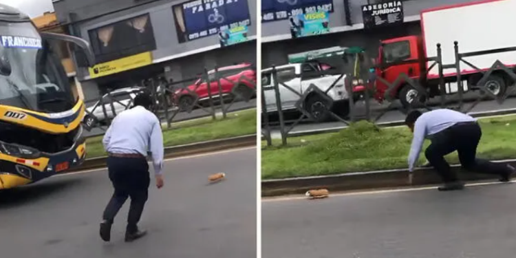 Chofer de bus desata risas al intentar atrapar un cuy en plena pista