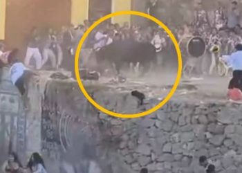 Toro se escapa en plena corrida y deja más de 30 heridos en fiesta patronal en Ayacucho