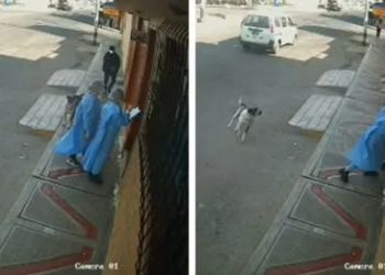 Delincuentes se disfrazan de enfermeras para asaltar una casa en Tacna