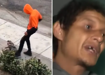 Rescatan a perrita maltratada en vía pública: agresor ya fue detenido por la PNP