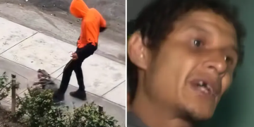 Rescatan a perrita maltratada en vía pública: agresor ya fue detenido por la PNP