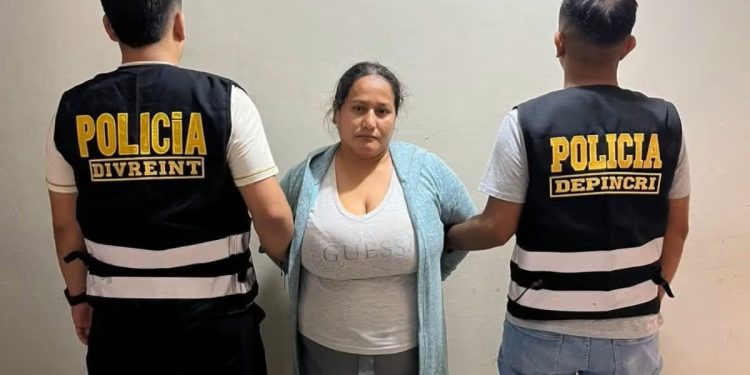 Ica: Poder Judicial dicta nueve meses de prisión preventiva contra mujer que secuestró a recién nacido de hospital