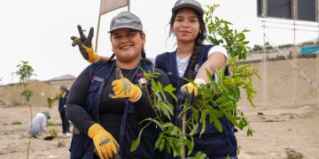 UCV alcanza el puesto 3 en sostenibilidad ambiental y destaca a nivel nacional, según reporte del Minam