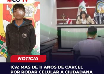 Ica: más de 11 años de cárcel por robar celular a ciudadana