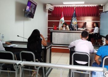 Ica: Condenan a 11 años de cárcel por violación a conviviente