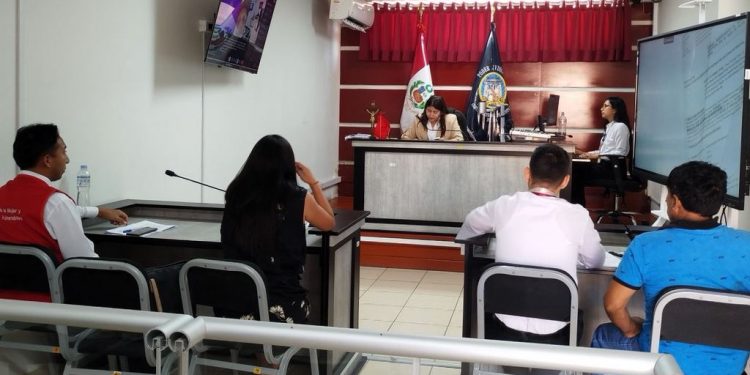 Ica: Condenan a 11 años de cárcel por violación a conviviente