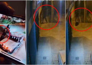 Ica: Violento asalto con mototaxi deja a joven golpeada y en shock