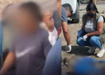 Ica: Detienen a presunto sacrificador de perros para comercializar su carne