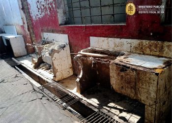 Fiscalía de Prevención del Delito de Ica realiza acción preventiva en Camal Municipal para evitar riesgos a la salud pública