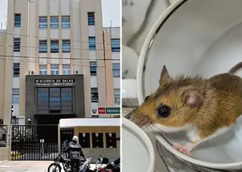 Alerta sanitaria: Leptospirosis deja 20 fallecidos y más de 3.000 contagios en el Perú